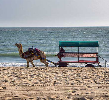 pingleshwar-beach