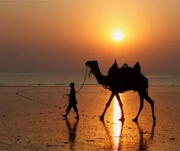 mandvi-beach