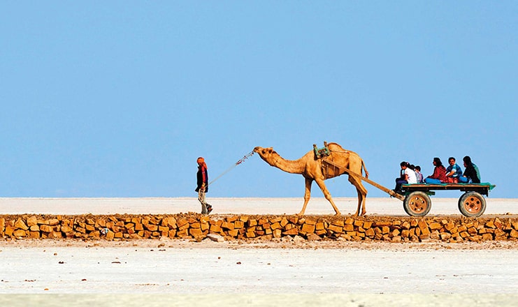 white-rann